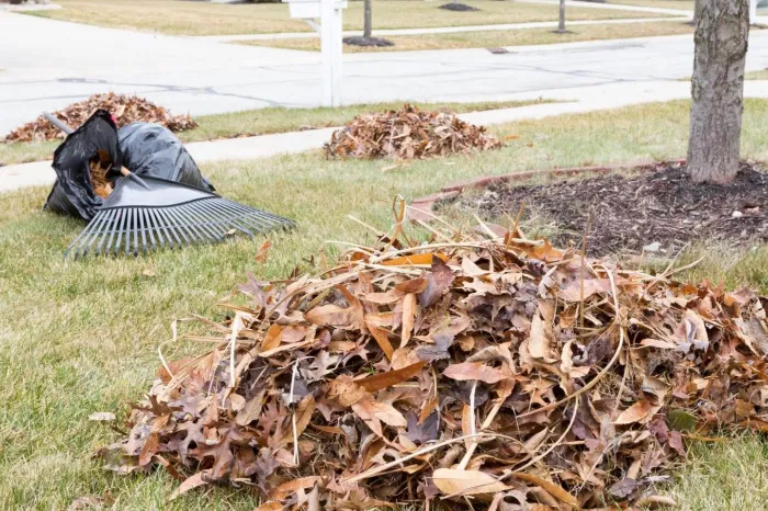 Yard Waste Removal Yard Waste Removal